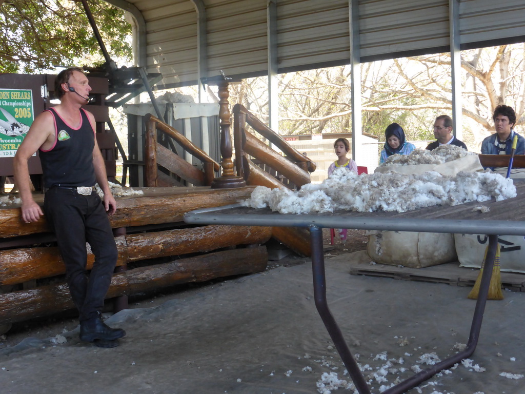 Zoo keeper with wool during the Sheep Shearing Show at the Lone Pine Koala Sanctuary