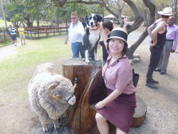 Miaomiao with sheep and dog during the Sheep Shearing Show at the Lone Pine Koala Sanctuary