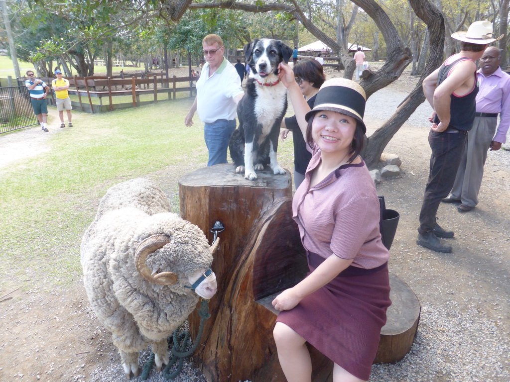 Miaomiao with sheep and dog during the Sheep Shearing Show at the Lone Pine Koala Sanctuary