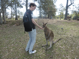 Tim feeding a Kangaroo at the Lone Pine Koala Sanctuary