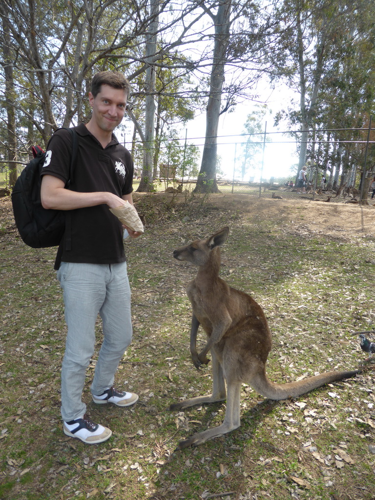 Tim feeding a Kangaroo at the Lone Pine Koala Sanctuary