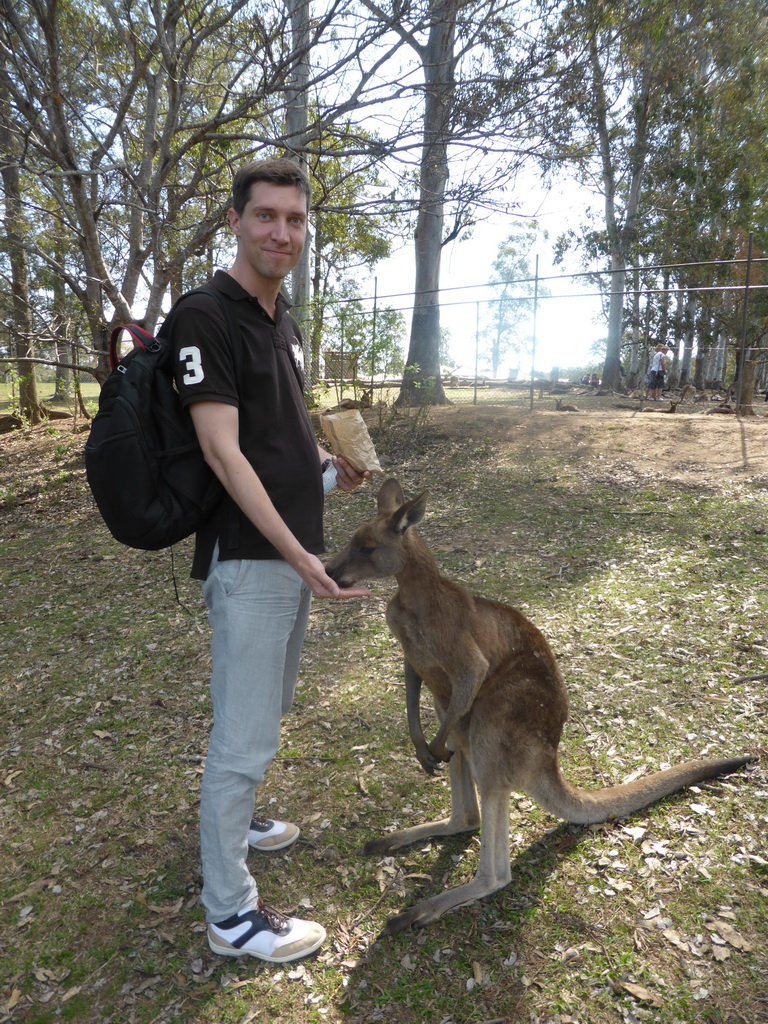 Tim feeding a Kangaroo at the Lone Pine Koala Sanctuary