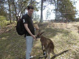 Tim feeding a Kangaroo at the Lone Pine Koala Sanctuary