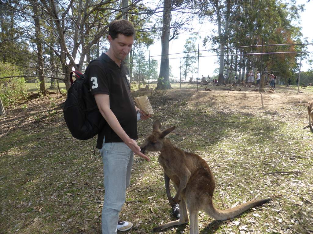 Tim feeding a Kangaroo at the Lone Pine Koala Sanctuary