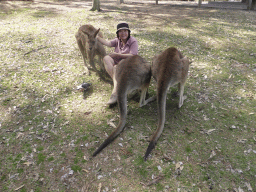 Miaomiao with Kangaroos at the Lone Pine Koala Sanctuary