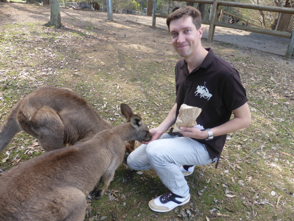 Tim feeding Kangaroos at the Lone Pine Koala Sanctuary