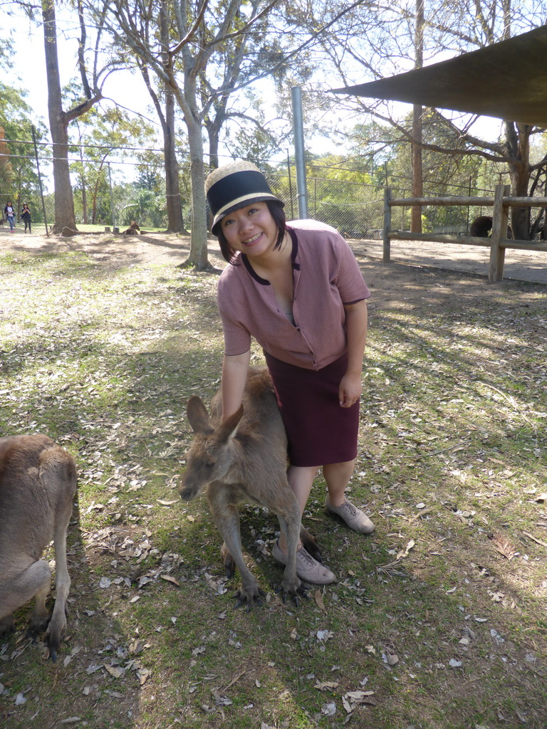 Miaomiao with Kangaroos at the Lone Pine Koala Sanctuary