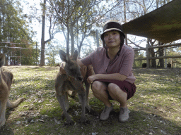 Miaomiao with Kangaroo at the Lone Pine Koala Sanctuary