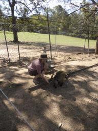Miaomiao feeding a Wallaby at the Lone Pine Koala Sanctuary