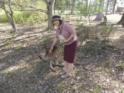 Miaomiao feeding a Kangaroo at the Lone Pine Koala Sanctuary