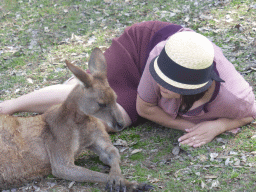 Miaomiao with a Kangaroo at the Lone Pine Koala Sanctuary