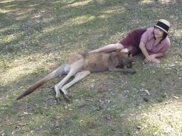 Miaomiao with a Kangaroo at the Lone Pine Koala Sanctuary