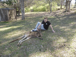 Tim with a Kangaroo at the Lone Pine Koala Sanctuary