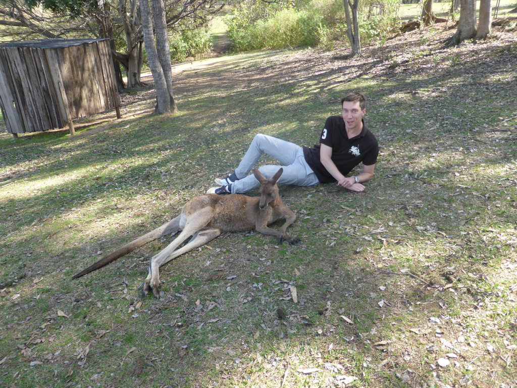 Tim with a Kangaroo at the Lone Pine Koala Sanctuary