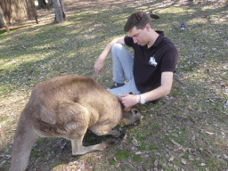 Tim with a Kangaroo at the Lone Pine Koala Sanctuary