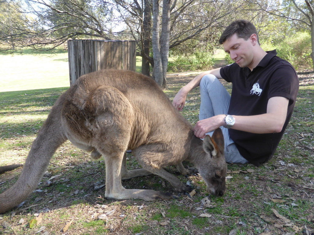 Tim with a Kangaroo at the Lone Pine Koala Sanctuary