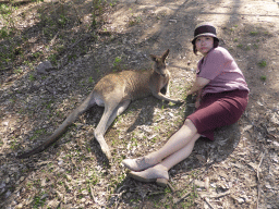 Miaomiao with a Kangaroo at the Lone Pine Koala Sanctuary