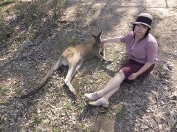 Miaomiao with a Kangaroo at the Lone Pine Koala Sanctuary