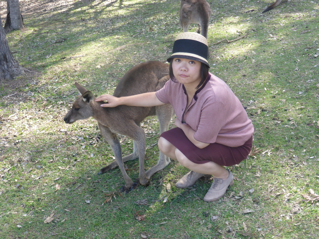 Miaomiao with a Kangaroo at the Lone Pine Koala Sanctuary