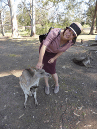 Miaomiao with a Kangaroo with a Joey at the Lone Pine Koala Sanctuary