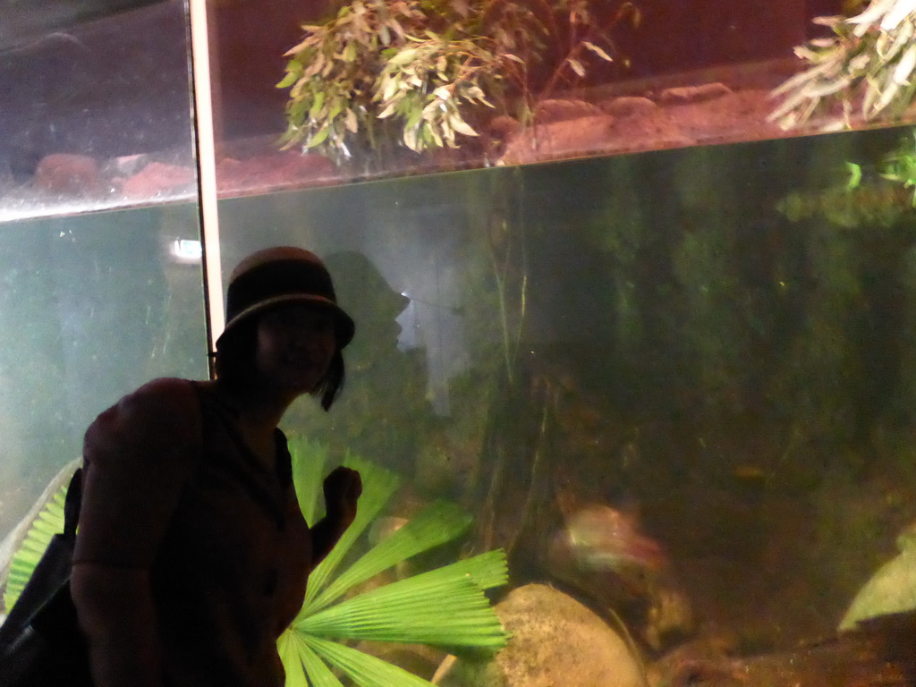 Miaomiao with a Platypus at the Lone Pine Koala Sanctuary