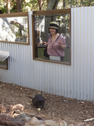 Miaomiao with a Tasmanian Devil during the feeding at the Lone Pine Koala Sanctuary