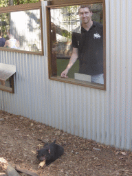 Tim with a Tasmanian Devil during the feeding at the Lone Pine Koala Sanctuary