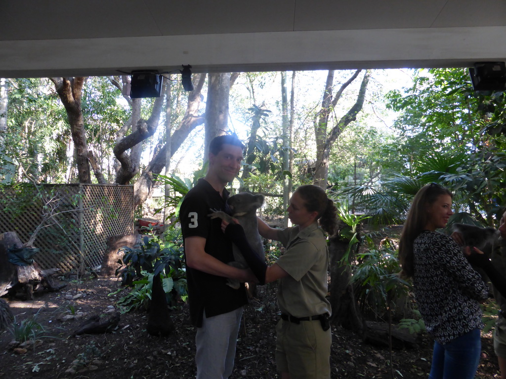 Tim and the zoo keeper with a Koala during the Koala Cuddling at the Lone Pine Koala Sanctuary