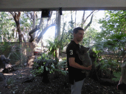 Tim with a Koala during the Koala Cuddling at the Lone Pine Koala Sanctuary