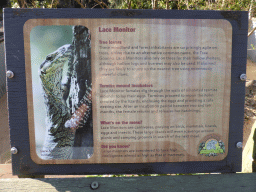 Information on the Lace Monitor at the Lone Pine Koala Sanctuary