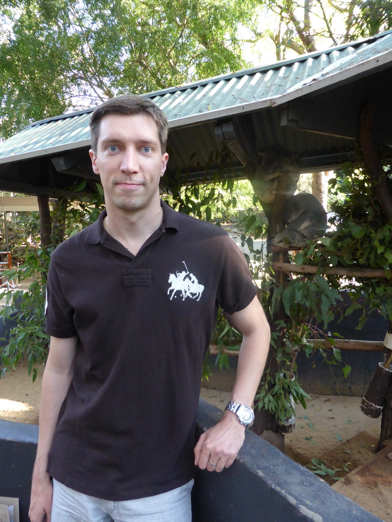 Tim with Koalas at the Lone Pine Koala Sanctuary