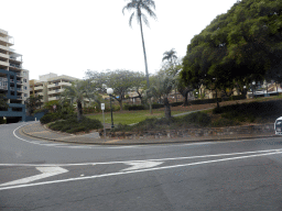 Trees at the north side of Centenary Place, viewed from the taxi to the airport