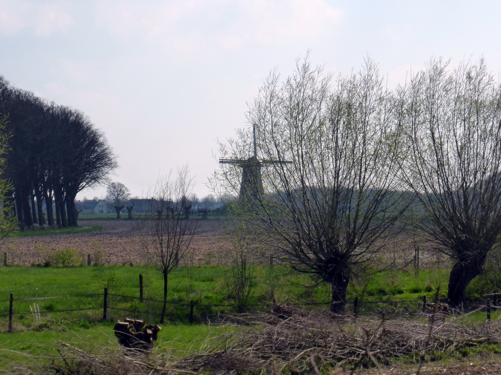 Farmland and the Bronkhorster Molen windmill, viewed from the south end of the Boterstraat street