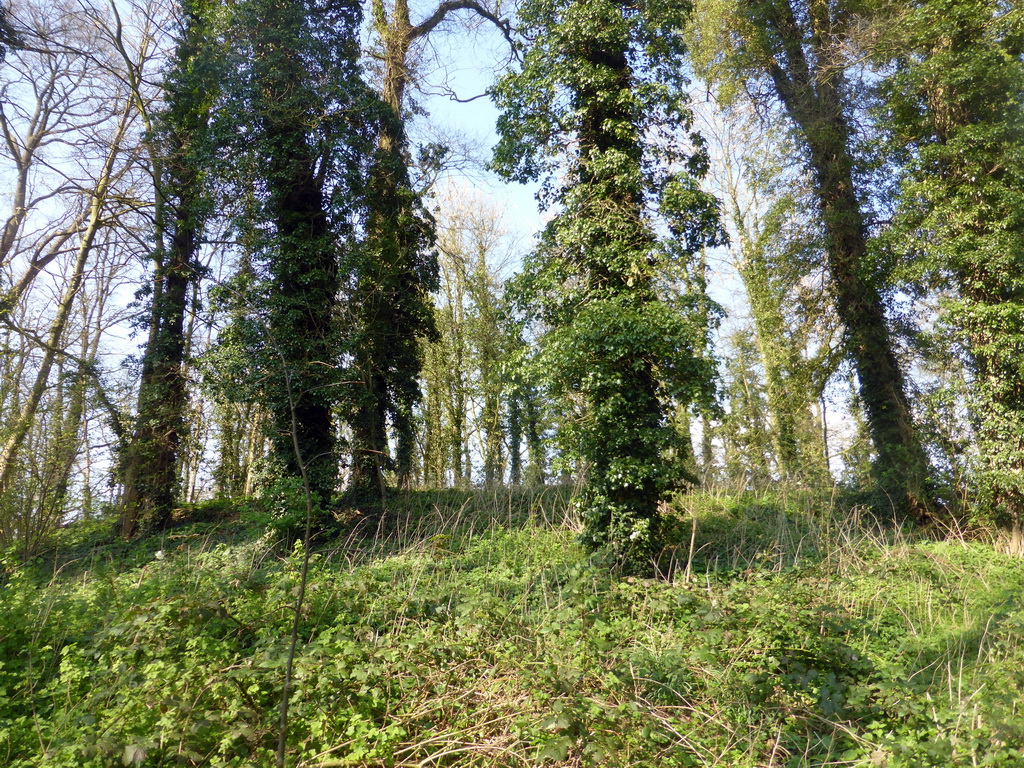 Hill of the former Kasteel Bronkhorst castle