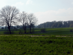 Grassland and trees at the northwest side of the Bekerwaardseweg street