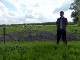 Miaomiao`s father with Belgian Blue cows in a grassland on the east side of the city