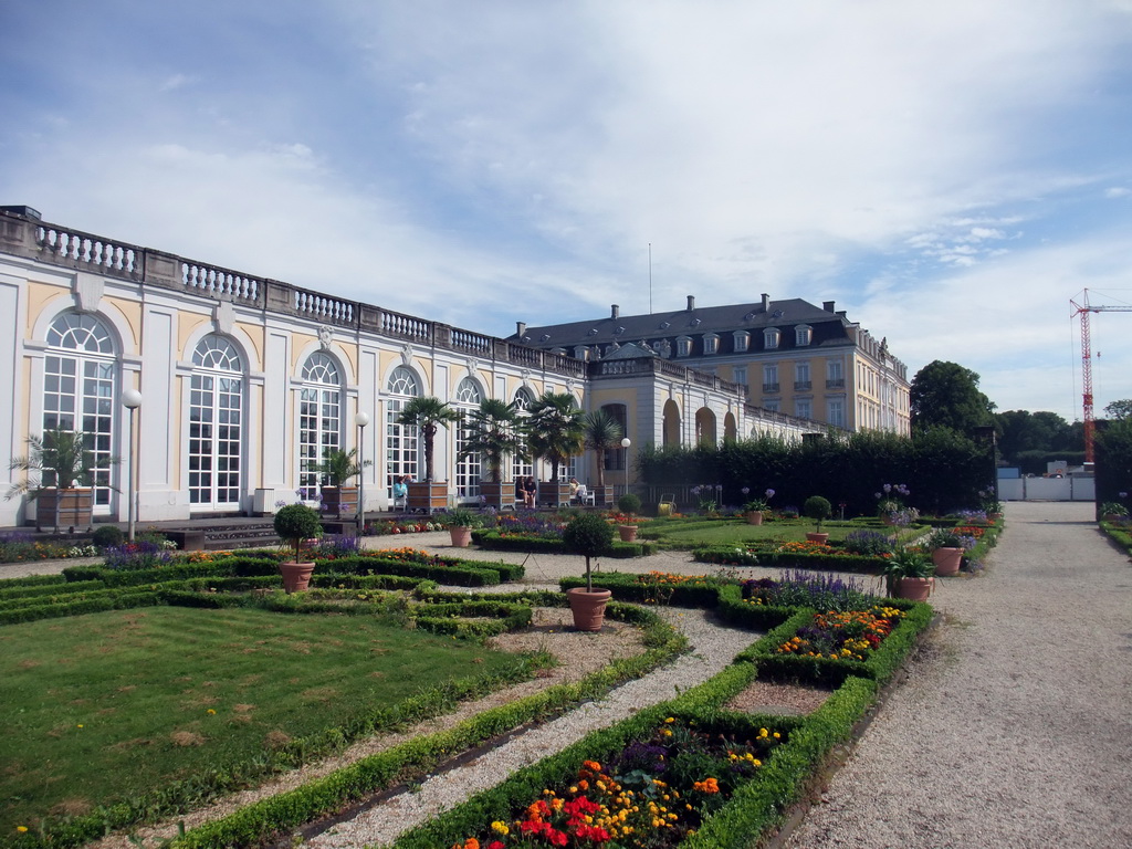 Flowers in the gardens of the Augustusburg Palace