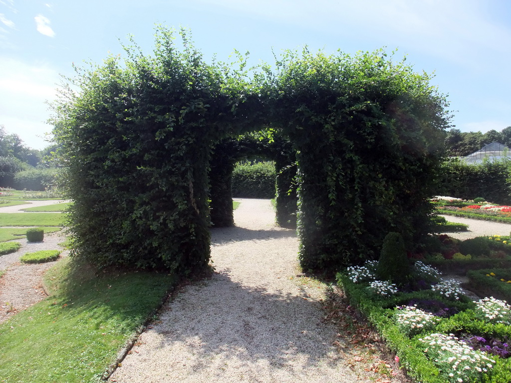 Arch made of plants in the gardens of the Augustusburg Palace