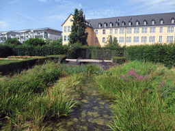 Brook in the gardens of the Augustusburg Palace