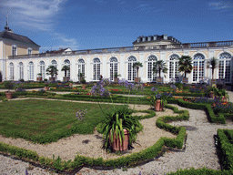 Flowwers in the gardens of the Augustusburg Palace