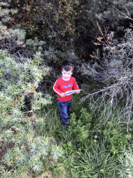 Max in the woods at the northwest side of the Grevelingendam