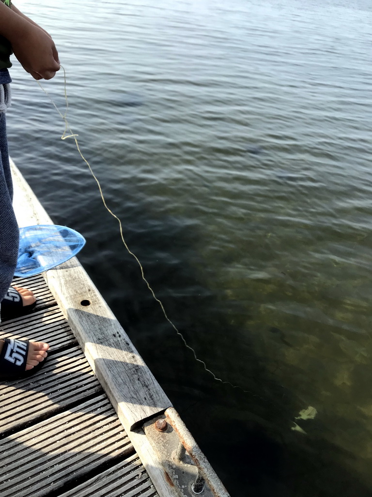 Person catching crabs on a pier at the northwest side of the Grevelingendam