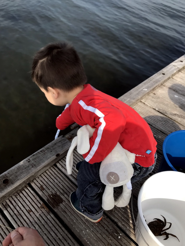 Max catching crabs on a pier at the northwest side of the Grevelingendam