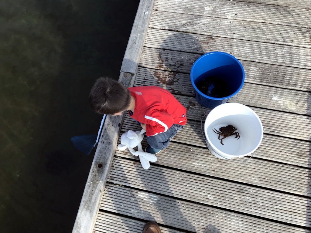 Max catching crabs on a pier at the northwest side of the Grevelingendam