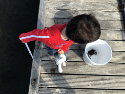 Max catching crabs on a pier at the northwest side of the Grevelingendam