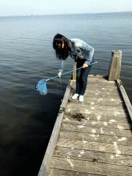 Person catching crabs on a pier at the northwest side of the Grevelingendam