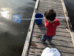 Max catching crabs on a pier at the northwest side of the Grevelingendam