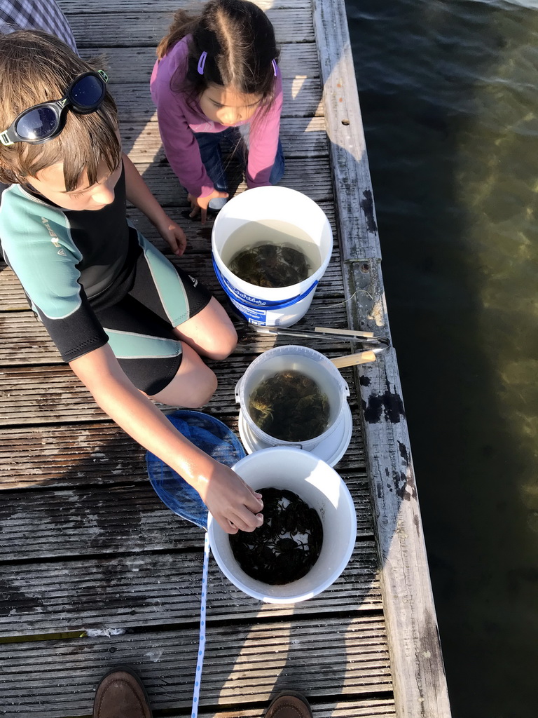 People catching crabs on a pier at the northwest side of the Grevelingendam