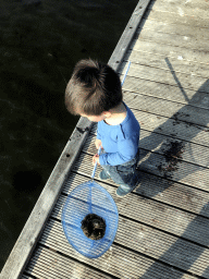 Max catching crabs on a pier at the northwest side of the Grevelingendam