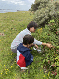 Miaomiao and Max picking blackberries at the northwest side of the Grevelingendam